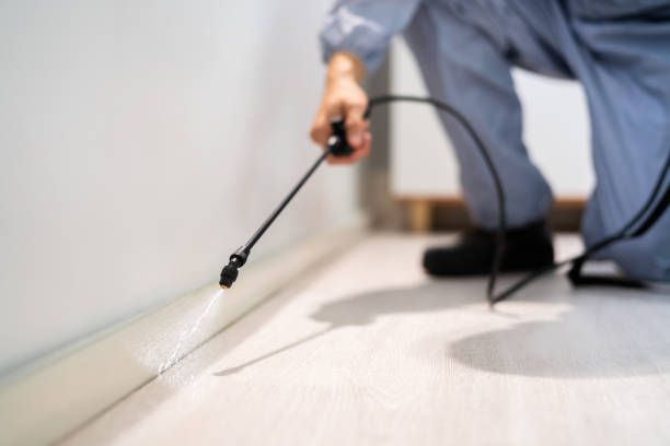 Licensed Pest Control service in Mertzon, TX - Show Me Pest Control