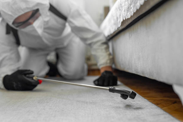 Professional Ant Control technician working in Mertzon, TX