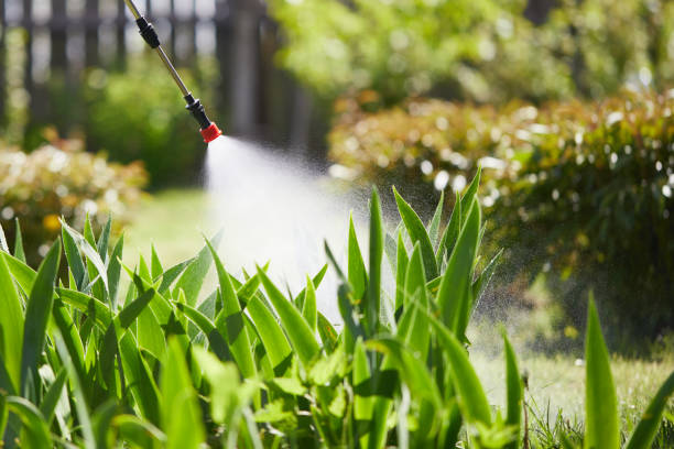 24/7 Emergency Wasp Removal experts in Mertzon, TX