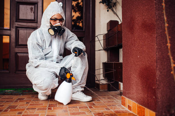 Reliable Wasp Removal contractor in Mertzon, TX by Show Me Pest Control